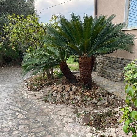 Il Giardino Delle Cycas Leilighet Romito Magra Eksteriør bilde