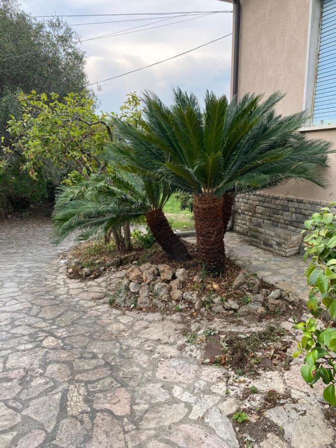 Il Giardino Delle Cycas Leilighet Romito Magra Eksteriør bilde