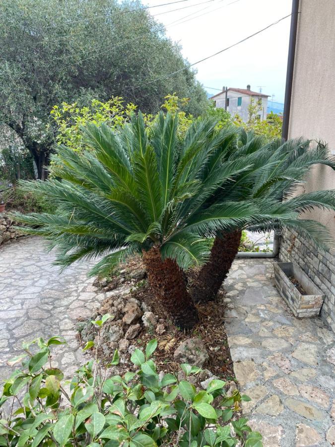 Il Giardino Delle Cycas Leilighet Romito Magra Eksteriør bilde