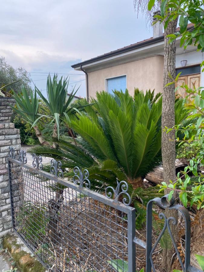 Il Giardino Delle Cycas Leilighet Romito Magra Eksteriør bilde